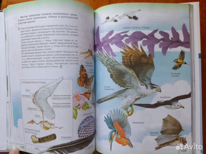 Учебник биологии энциклопедия