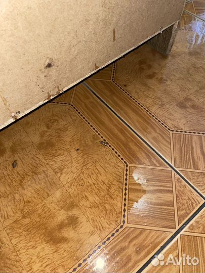 Уничтожение клопов,тараканов и клещей