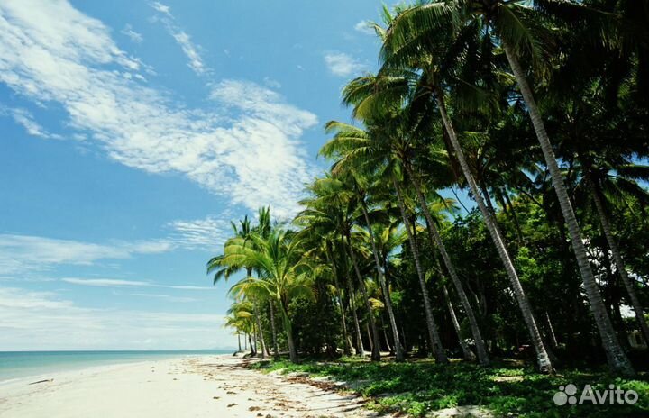 Путевочка на Мальдивы от 7 дней