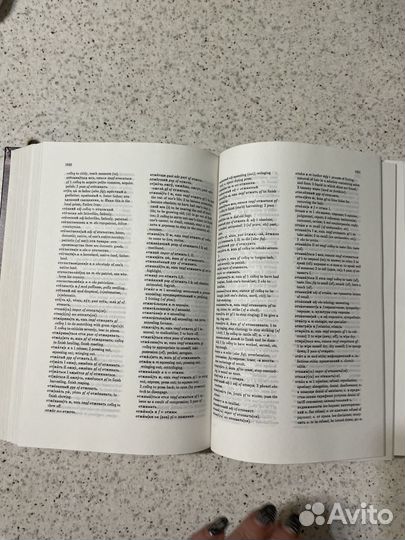 Большой русско-английский словарь