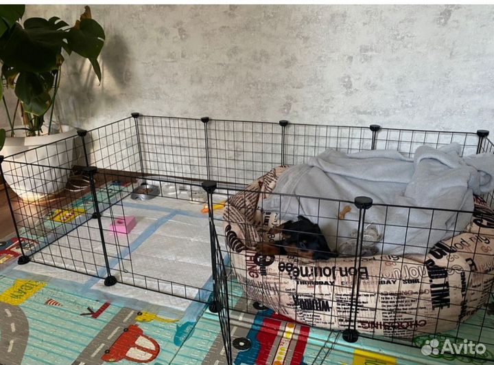 Вольер для домашних животных