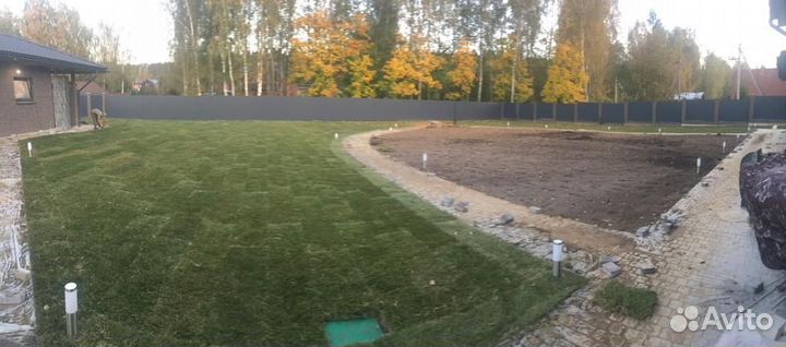 Рулонный газон/продажа/укладка