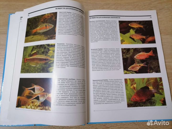 Аквариум для начинающих Шталькнехт Г