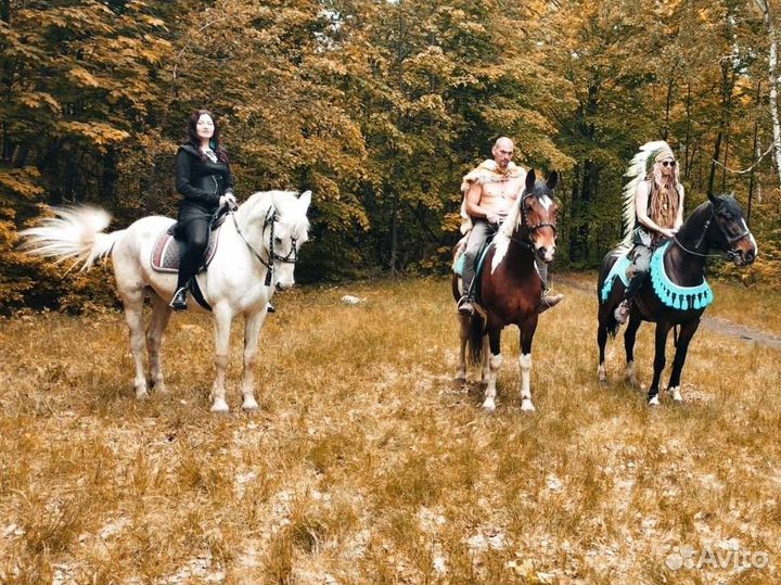 Конные прогулки