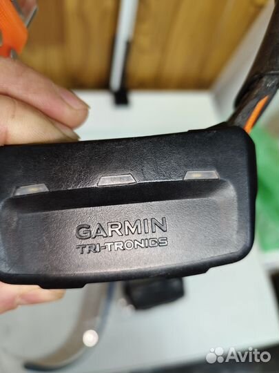 Ошейник Garmin t5