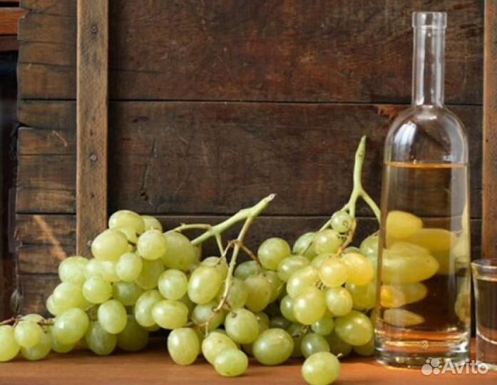 Alcotec Georgian Chaha - Эссенция Грузинская Чача