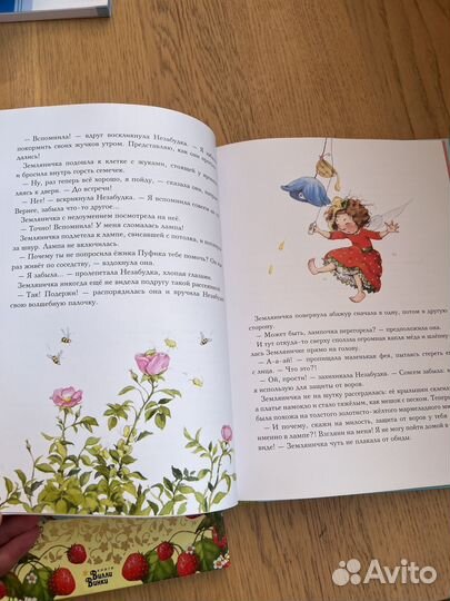 Книга Земляничная фея