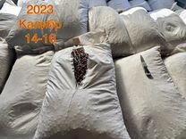 Тигровый орех 2023