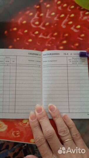 Трудовая книжка