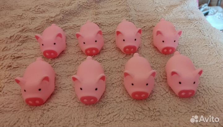 Пищалки свиньи