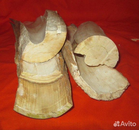 Бивень. Мамонт. Фрагменты на поделки. Интерьер