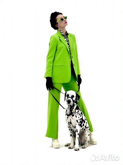 Фотосессия с долматином