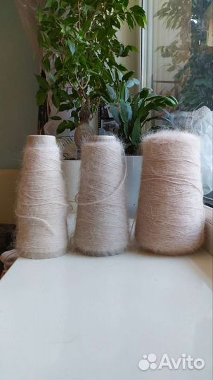 Ангора Италия