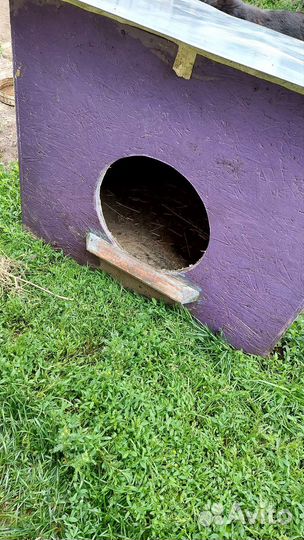 Будка для собаки