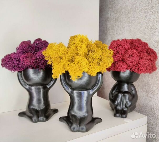 Кашпо, декорированные мхом