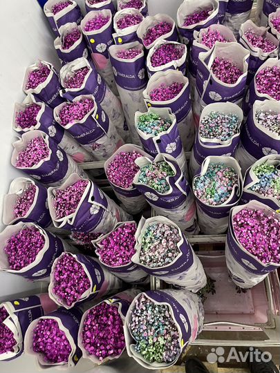 Гивсофила оптом