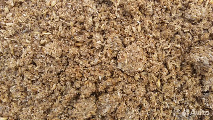 Продам дробина ячменная сырая
