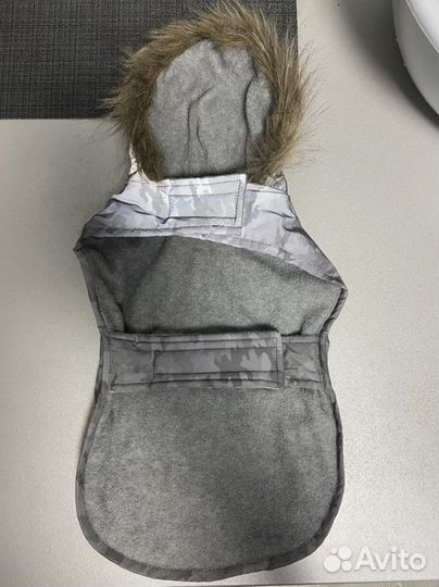 Одежда для собак