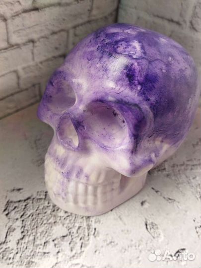 Череп из гипса