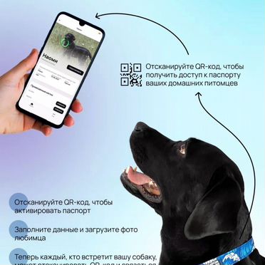 Ошейник для собак