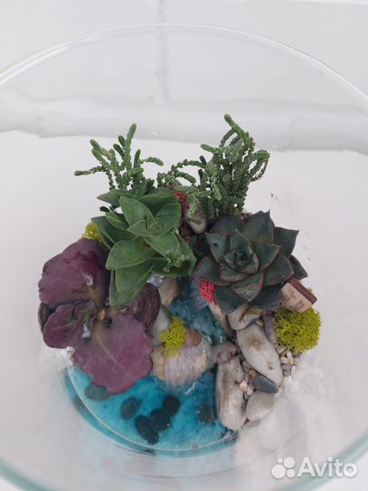 Флорариум в колбе