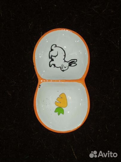 Всё для содержания улиток