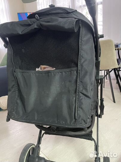 Коляска для прогулки