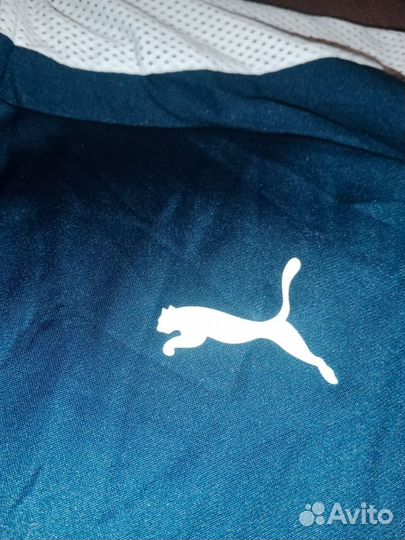 Олимпийка puma L