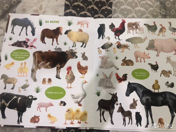 Большая книга малыша животные clever