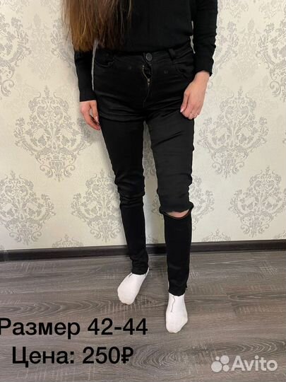 Одежда