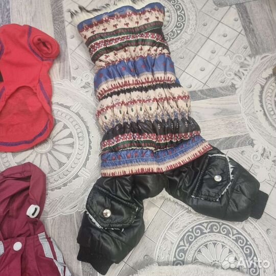 Комбинезоны для маленькой собачки