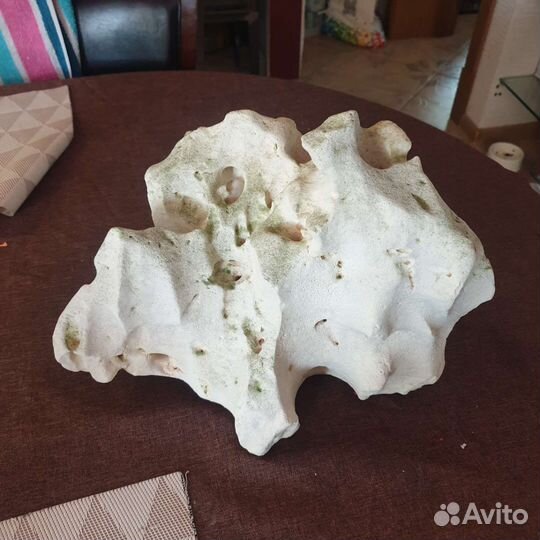 Камень для аквариума