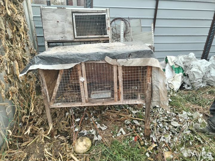 Клетка для кролика