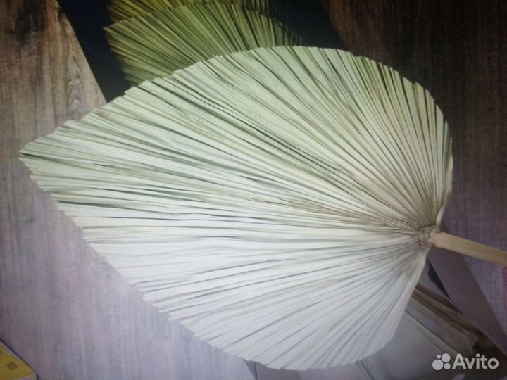 Листья Пальма Пики