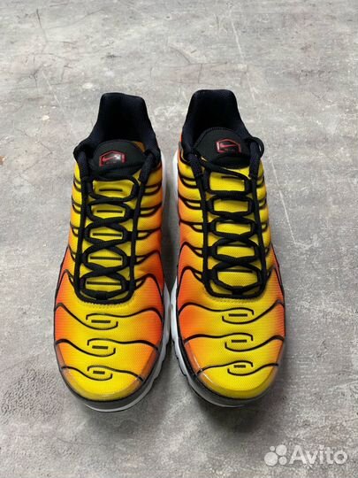 Nike Air Max Plus Black/Pimento-Bright Ceramic