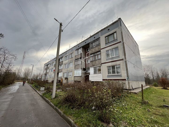 2-к. квартира, 53,1 м², 2/3 эт.