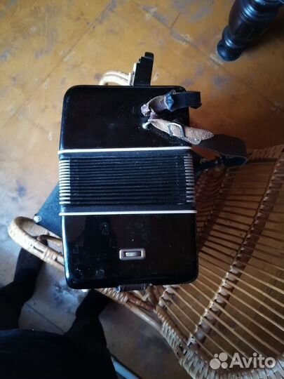 Баян Рубин 3