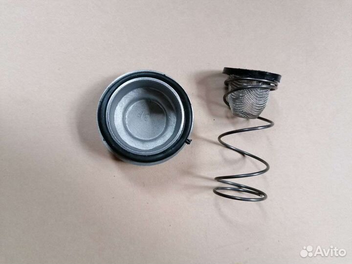 Фильтр масляный 172fmm (пробка+пружина+сетка)