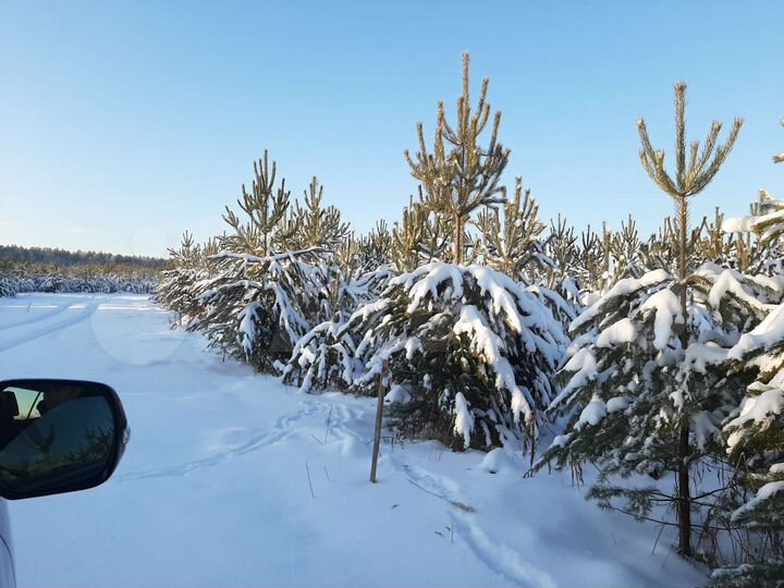 Участок 10 сот. (ИЖС)