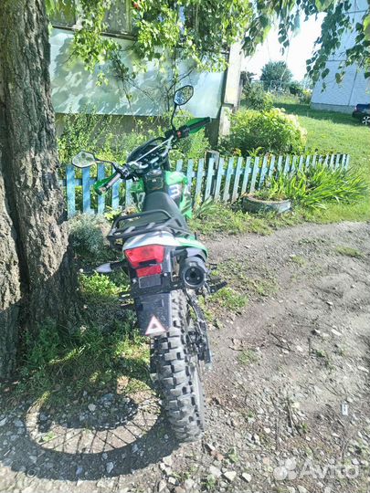 Рейсер пантера 300