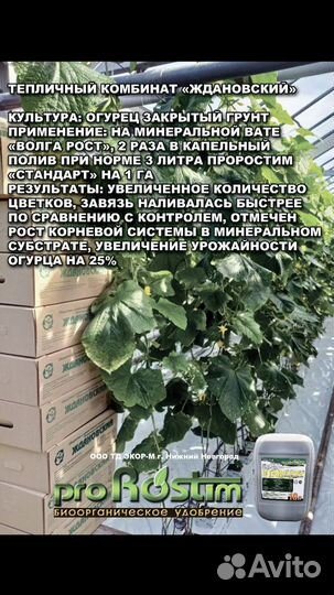 Стимулятор роста