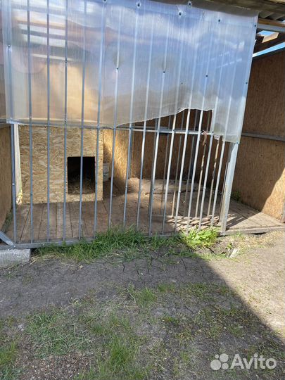 Вольер для собак