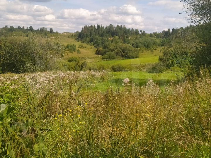 Дом 36 м² на участке 63 сот.