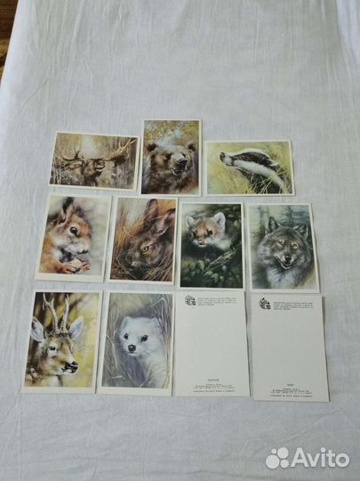 Художник А. Исаков. 1989год