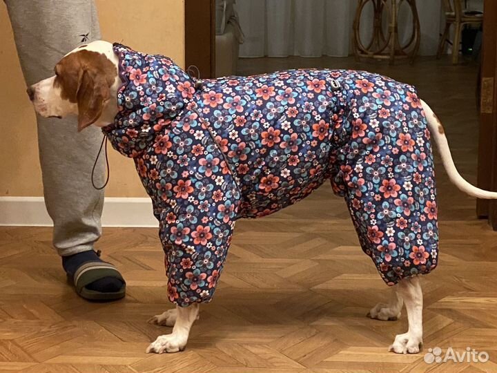 Одежда доя собак пошив