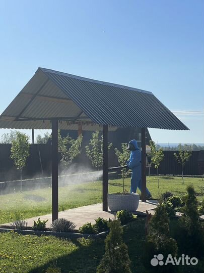 Обработка участков от комаров,клещей,ос и тд