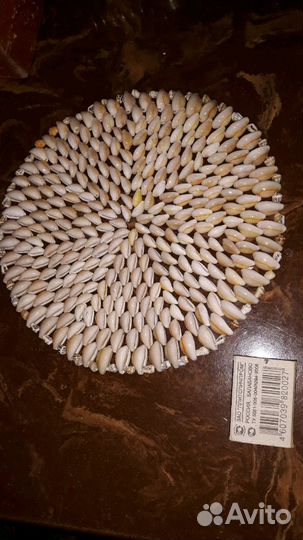 Подставка Под горячее из ракушек и можжевельника