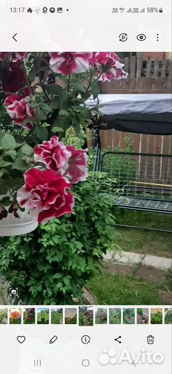 Качели садовые