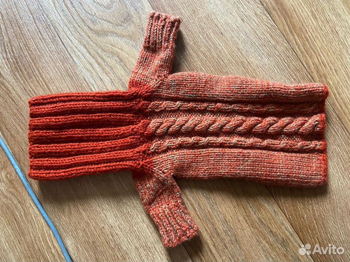 Одежда для мини йорка