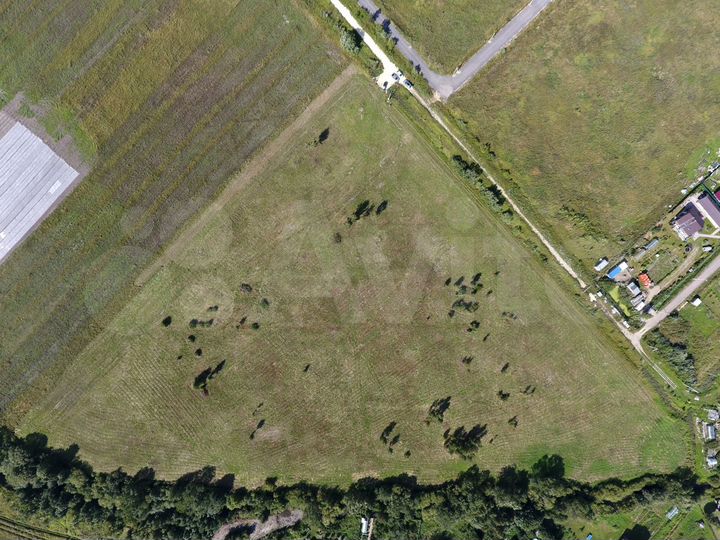 Участок 3,6 га (СНТ, ДНП)